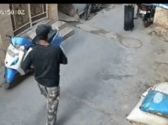 Jalandhar के गढ़ा में दो गुटों में खूनी झड़प:युवक पर किरपाण से हमला; वफादार कुत्ते ने बचाई जान, वारदात CCTV में कैद