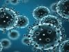 Moga Swine Flu: मोगा में स्वाइन फ्लू के 3 नए केस पॉजिटिव, सेहत विभाग अलर्ट