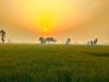 Punjab Weather Update: पंजाब में 28 अक्टूबर से बदलेगा मौसम, जानें अगले 3 दिनों का हाल