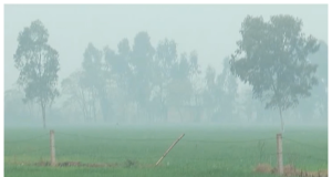 Punjab Weather: पंजाब के मौसम को लेकर नया अपडेट! दिन में गर्मी और सुबह-शाम रहेगी हल्की ठंड, जानें मौसम का हाल