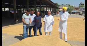 Punjab में धान खरीद की तैयारी पूरी, लुधियाना अनाज मंडी में सभी व्यवस्थाएं दुरुस्त