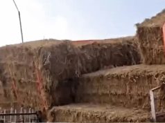 Jalandhar में पराली से भरी ट्रॉली दुकानों में घुसी:शटर-काउंटर टूटे, ट्रक से टक्कर के बाद बेकाबू हुई; दुकानदार बोले- भरपाई की जगह दबाव बनाया